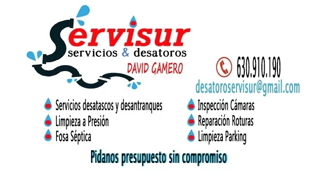 Desatoros servisur - El Gastor