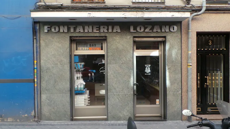 Lozano López Saneamientos, S.L. - Contratista general en Madrid - foto 2