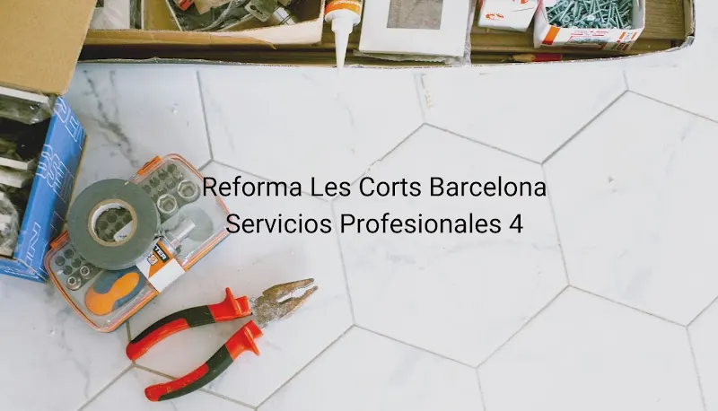 Servicios Profesionales 4.